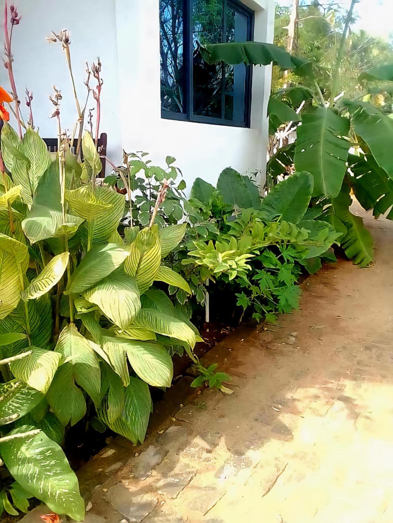 Bungalow Ramena Beach Antsiranana Andjamen Экстерьер фото